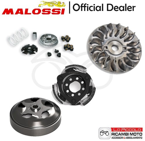 Kit malossi variatore - kit, frizione