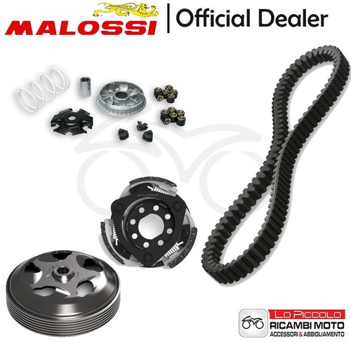 Kit malossi variatore - variatore, +